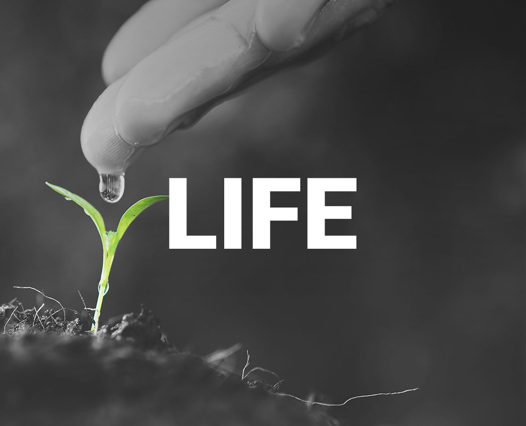 eden springs logo grid