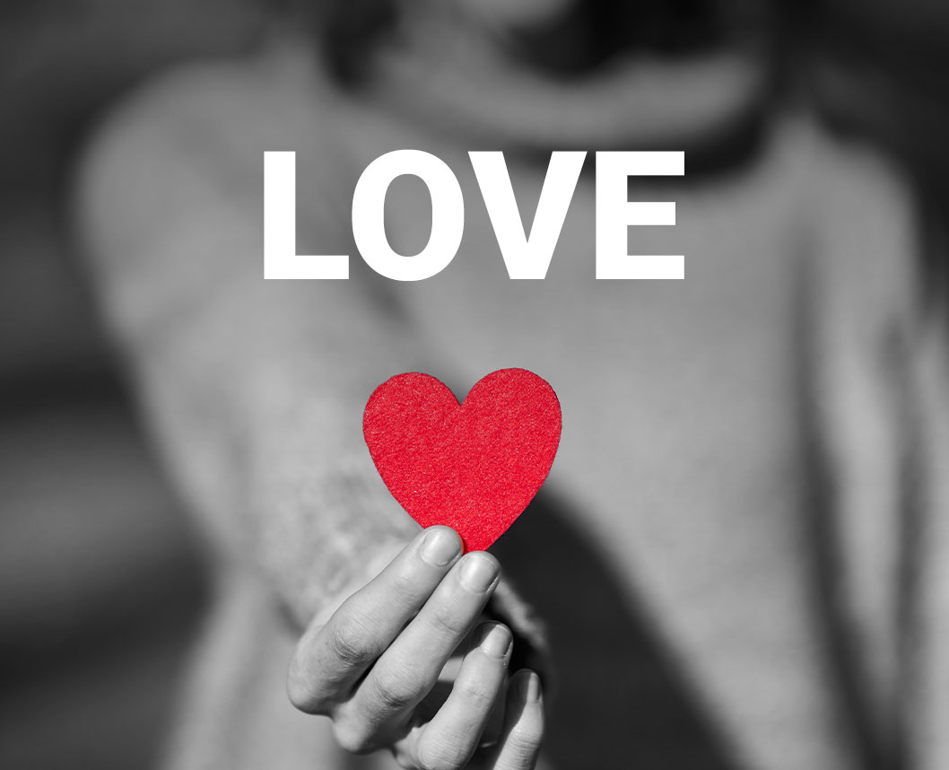 eden springs logo grid